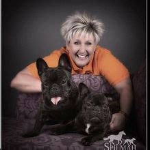 french bulldog rescue phoenix az|raising frenchies from the ashes.